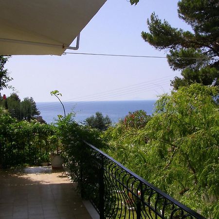 Polymnia Apartments Spartia (Kefalonia) Exterior foto