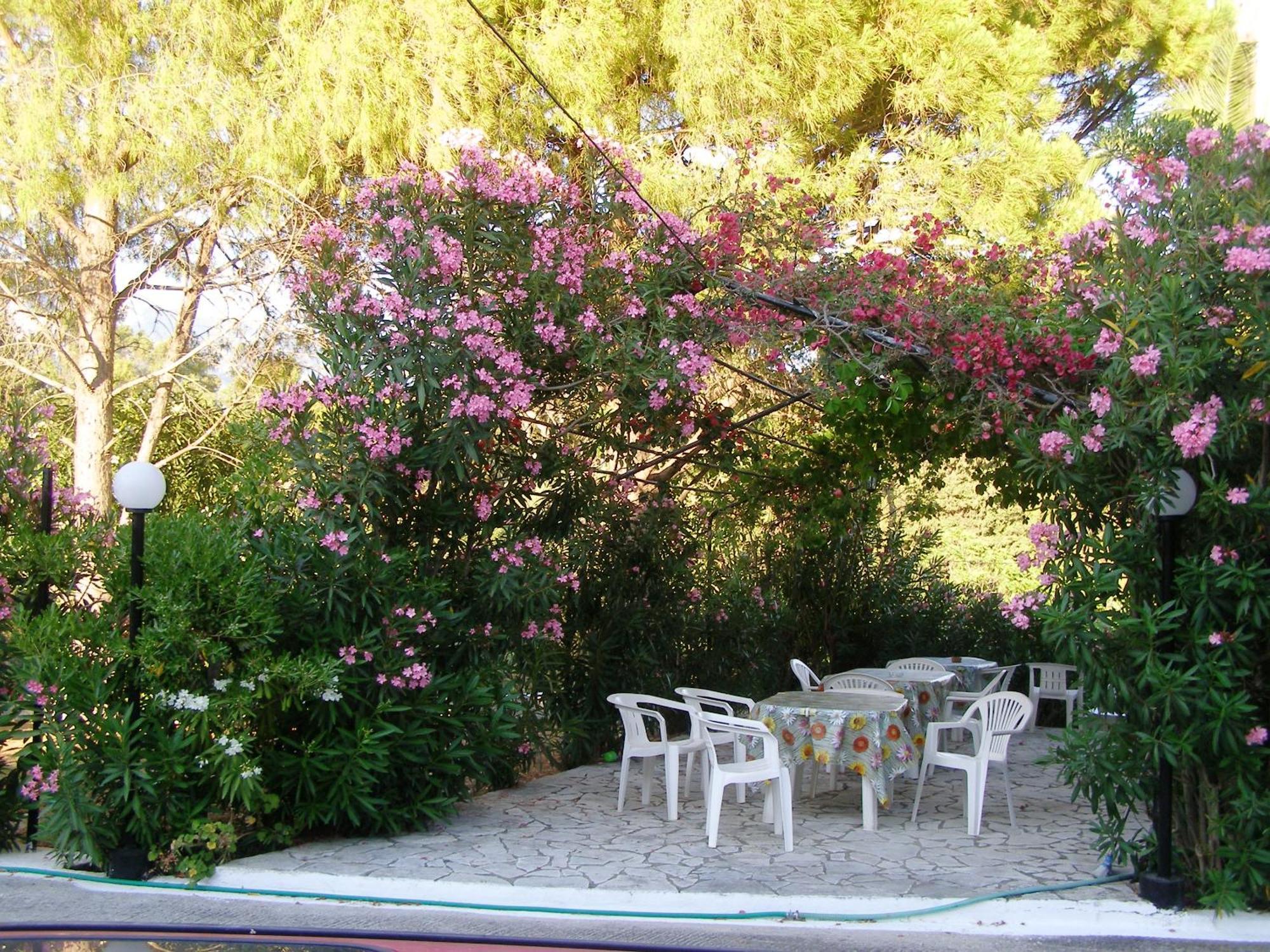 Polymnia Apartments Spartia (Kefalonia) Exterior foto