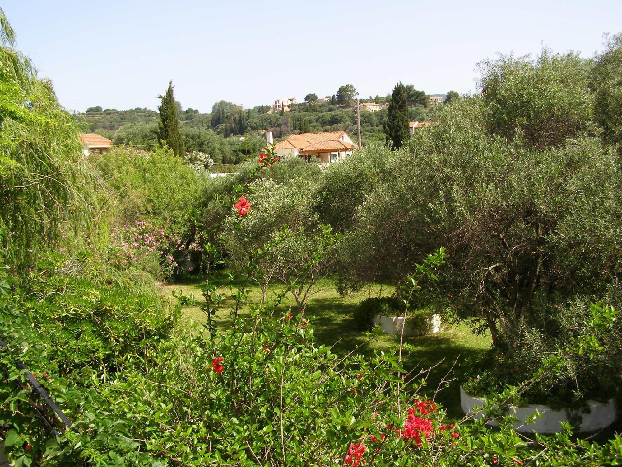 Polymnia Apartments Spartia (Kefalonia) Exterior foto