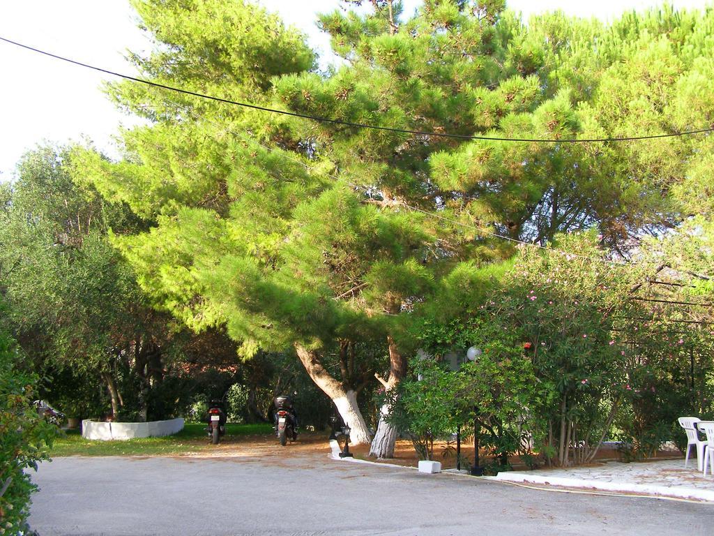 Polymnia Apartments Spartia (Kefalonia) Exterior foto