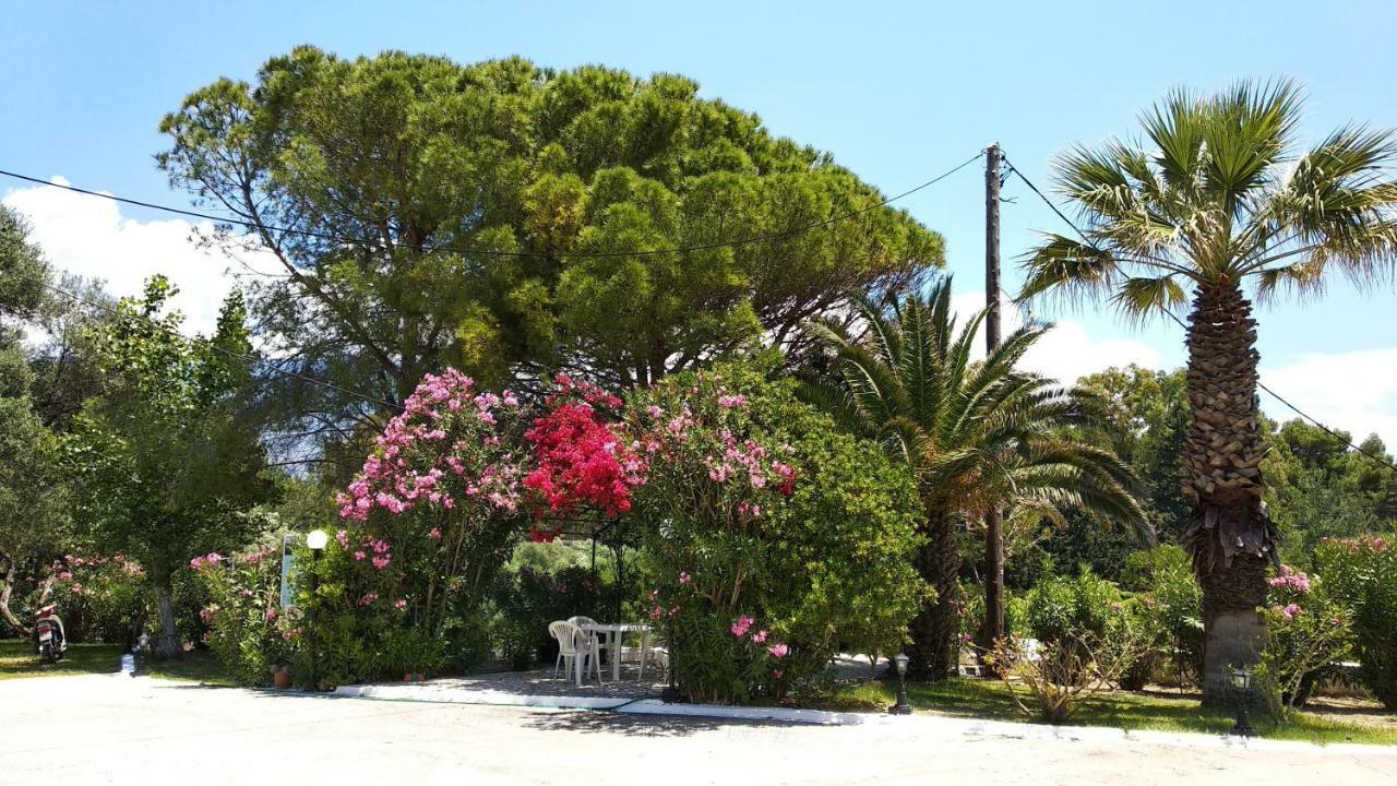 Polymnia Apartments Spartia (Kefalonia) Exterior foto